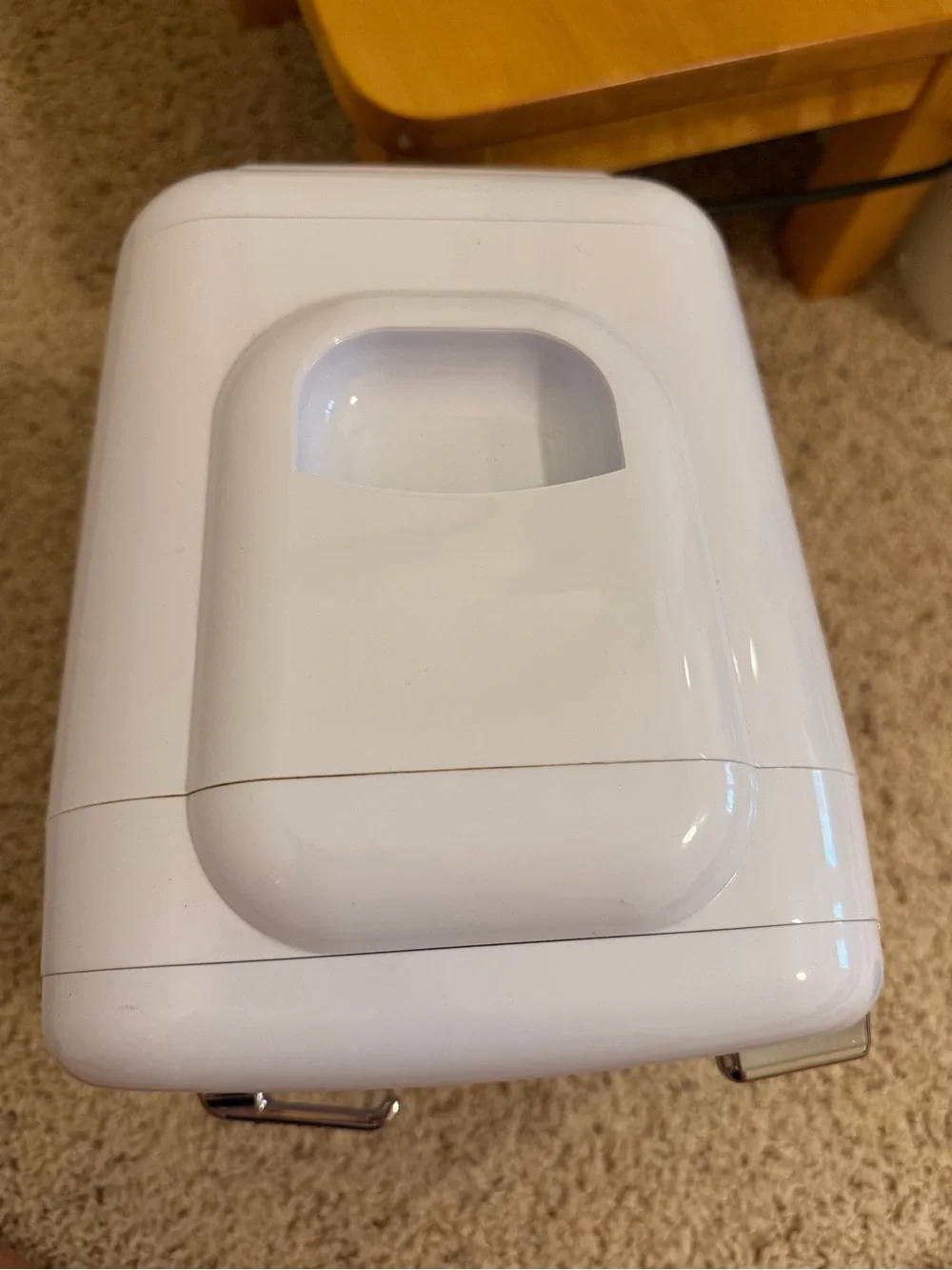 Caynel Mini skincare fridge